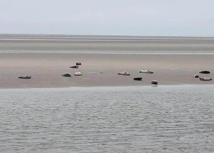 Baie De Somme