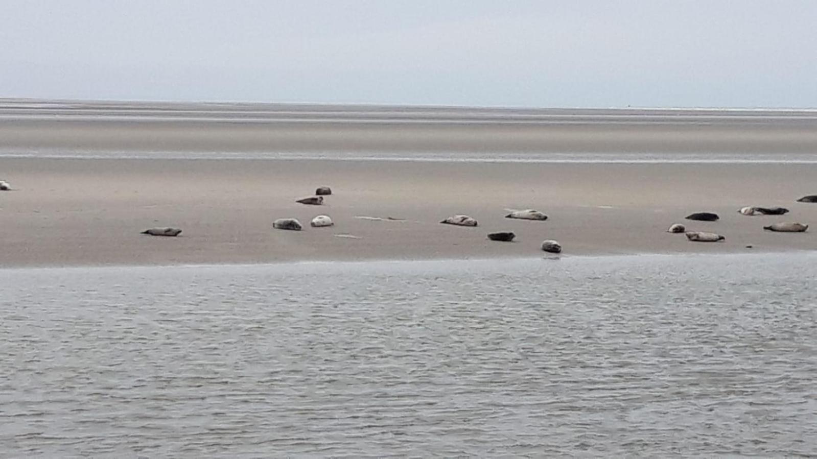 Apartment Baie De Somme